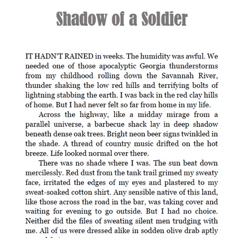 Shadow of Soldier